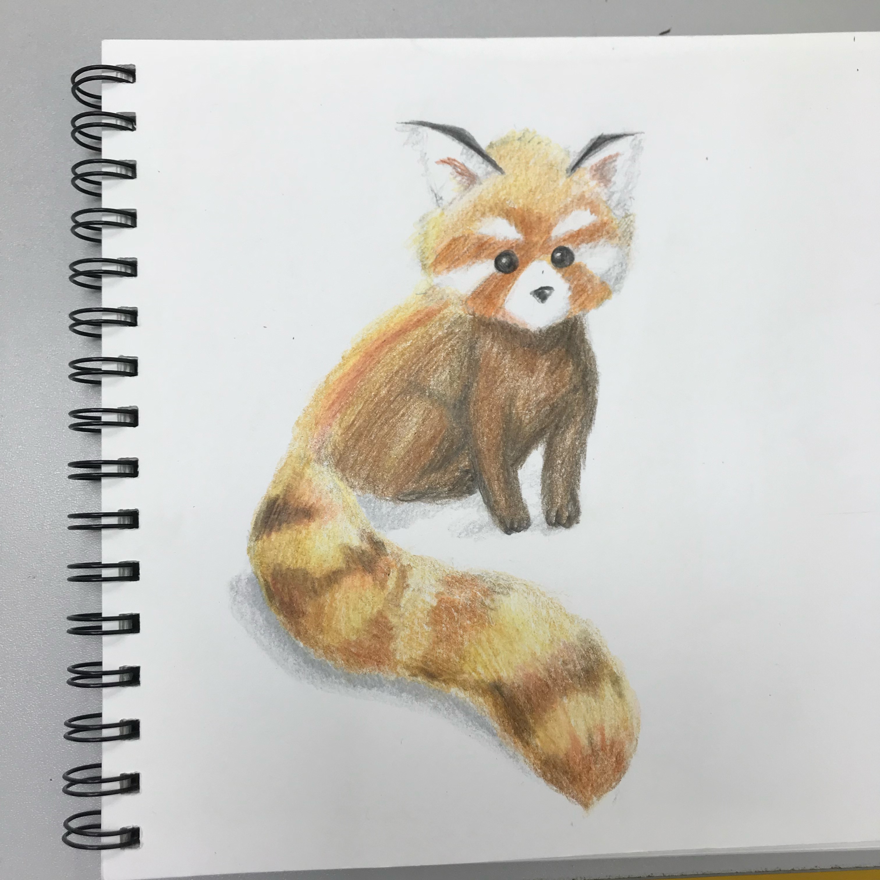學生精美藝術作品